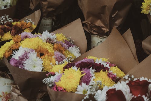 Close-up of Bouquets of Colorful Chrysanthemums 