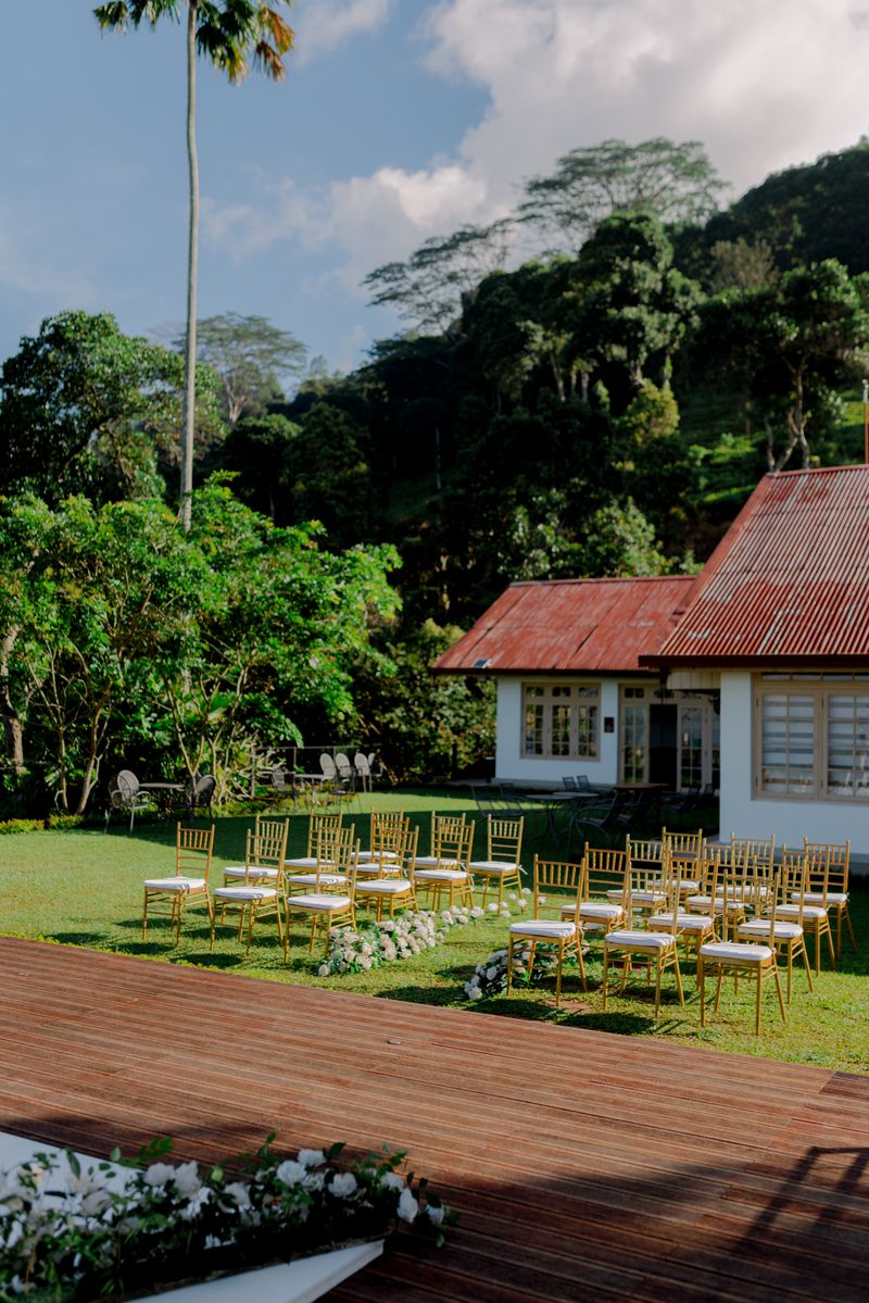 Wedding ceremony under mountain ash trees with fern understory at a Dandenong Ranges garden venue