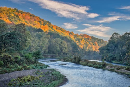 A river in the fall with trees and hills