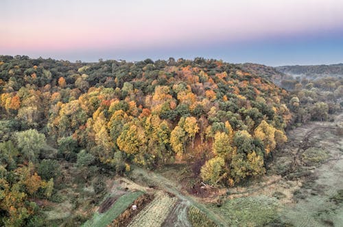 ağaçlar, arazi, drone çekimi içeren Ücretsiz stok fotoğraf