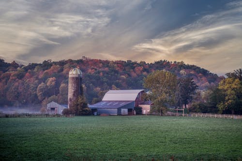 View of a Farm Building and a Silo on the Background of Autumnal Trees