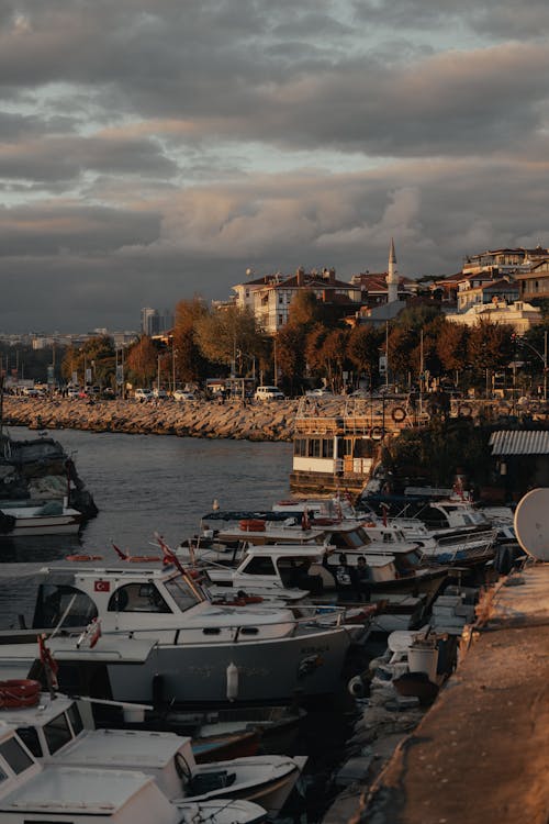 Photos gratuites de à quai, bateaux, bâtiments