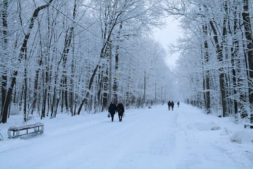 View of People Walking in a Snowy Park 