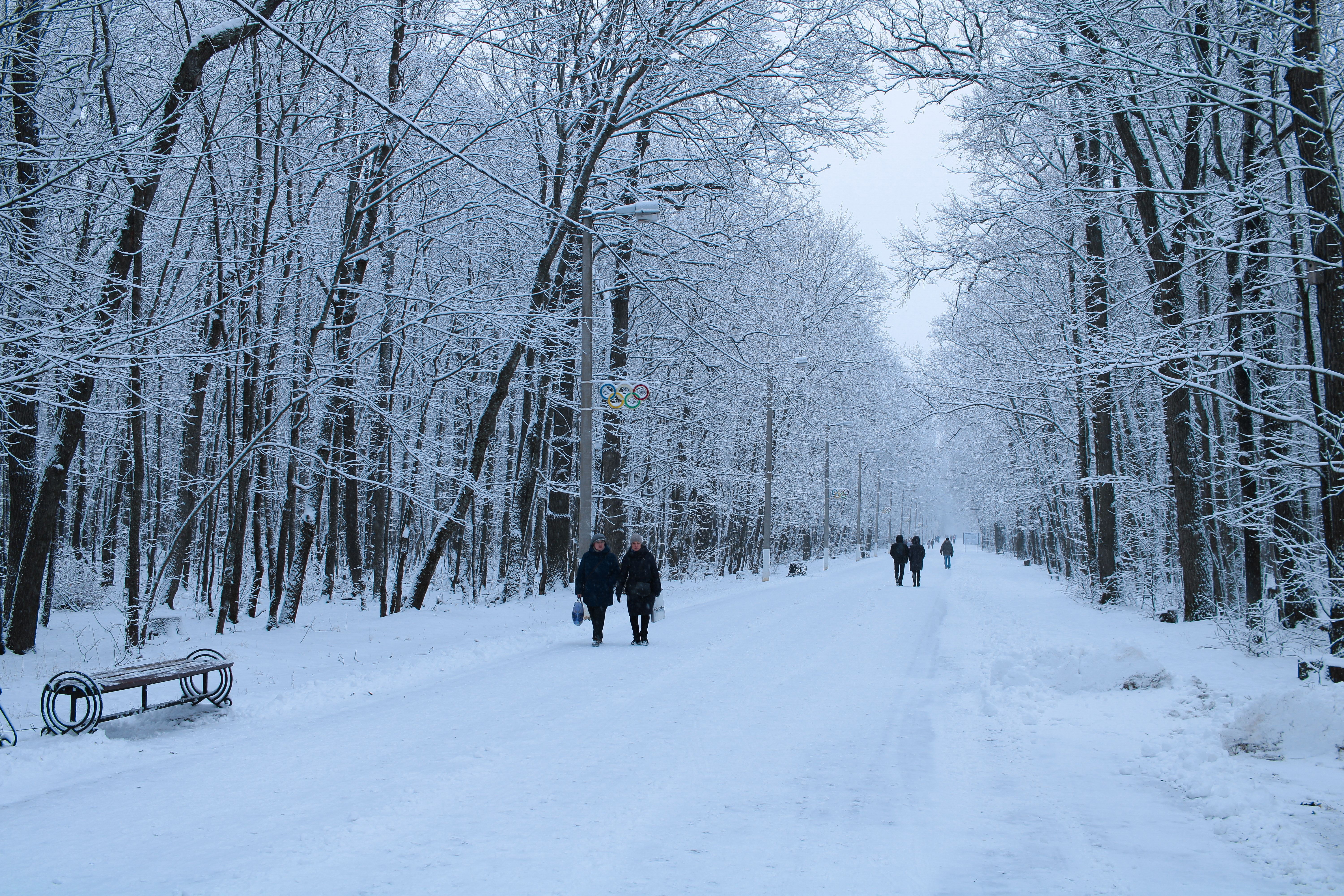 View of People Walking in a Snowy Park · Free Stock Photo