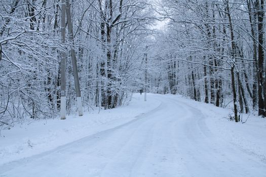 A tranquil snowy road winding through a winter forest, creating a serene woodland scene.