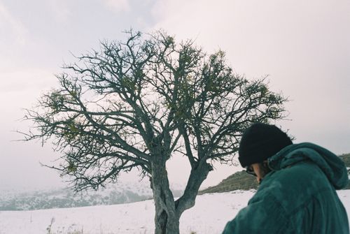 Free A man wearing a jacket stands near a barren tree in a snowy, winter landscape. Stock Photo
