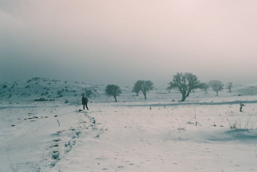 Person Walking in Snow in Countryside