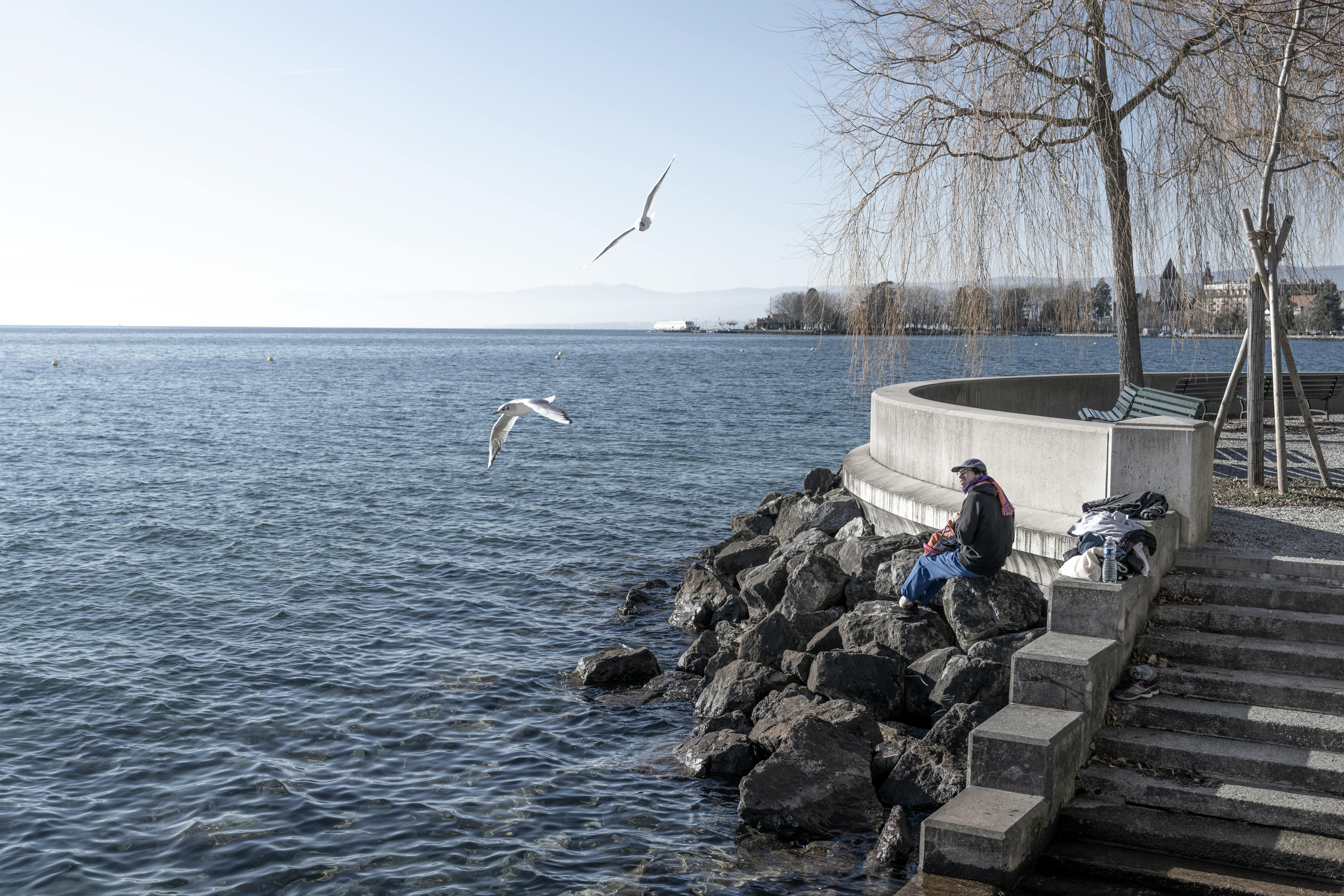 Sea-Level Rise and the Role of Geneva — Photo by Hugo Sykes on Pexels