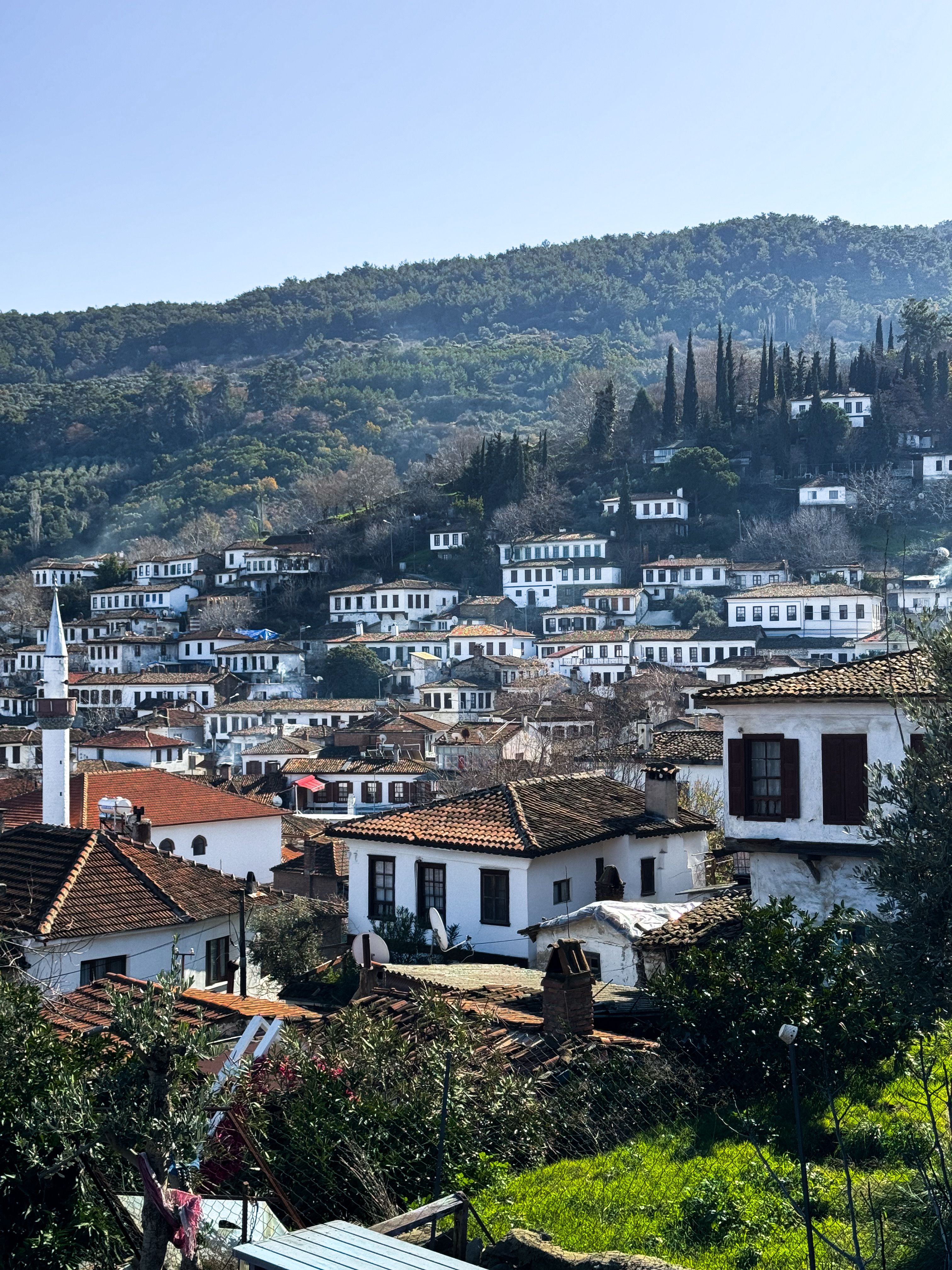 Picturesque view of the traditional village houses in Şirince, Turkey against a lush hill backdrop.