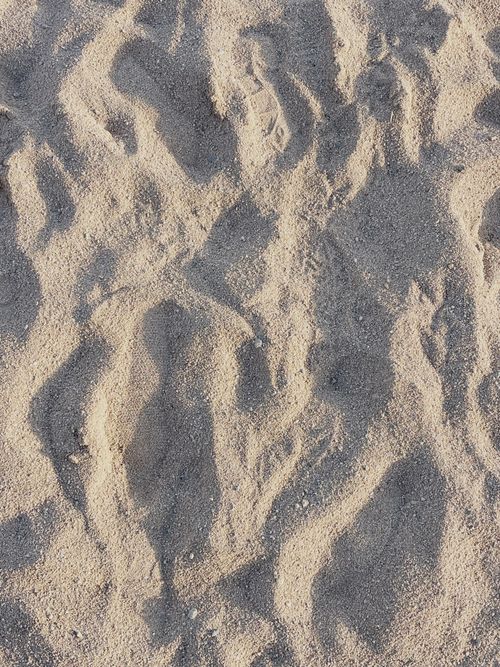 Free Detailed view of beach sand texture with shadows under sunlight, showcasing natural patterns. Stock Photo