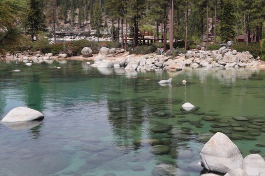 Beautiful forest lake with clear water and rock formations, ideal for nature lovers.