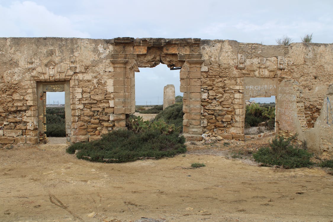 Molino grande - fotografía 4