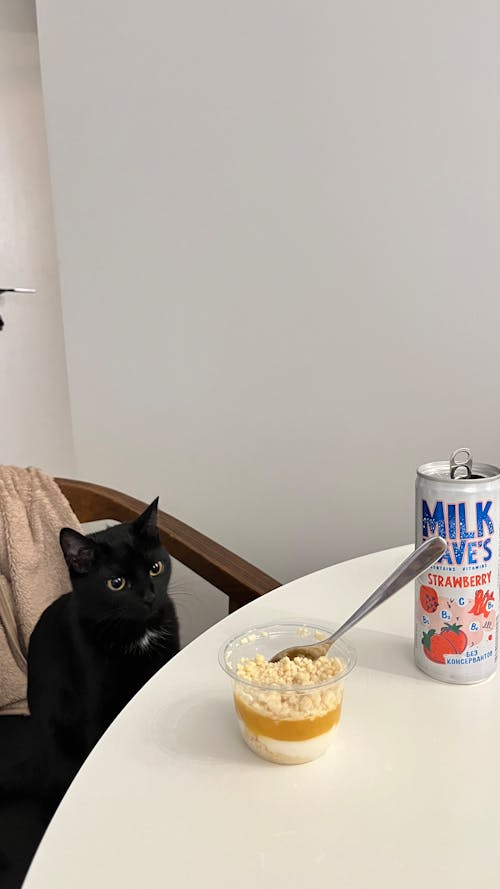 Black Cat Looking at a Jar of Fruit Yogurt