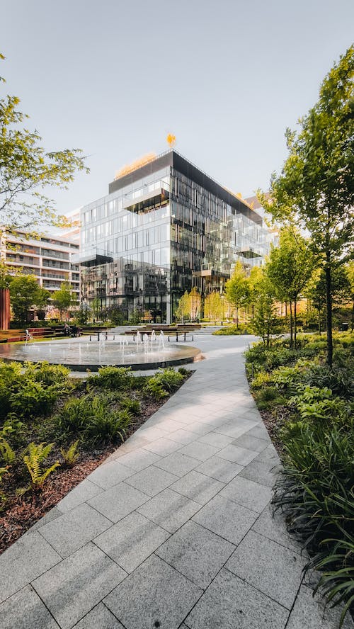 Trees and Square with Fountain near Office Building