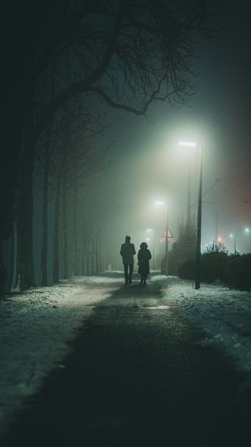 Free A couple walking on a snowy urban sidewalk at night, enveloped in fog and illuminated by streetlights. Stock Photo