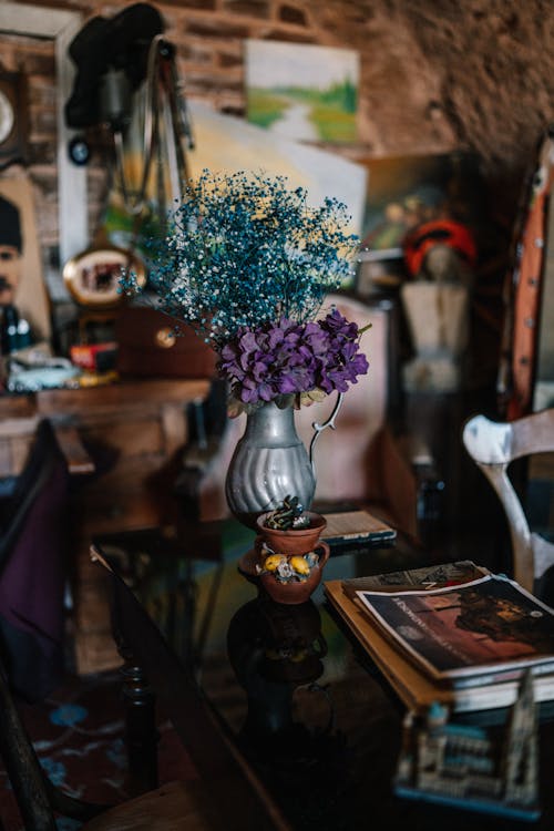 꽃, 냄비, 방의 무료 스톡 사진