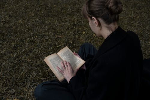 Ilmainen kuvapankkikuva tunnisteilla äly, brunette, kirjallisuus