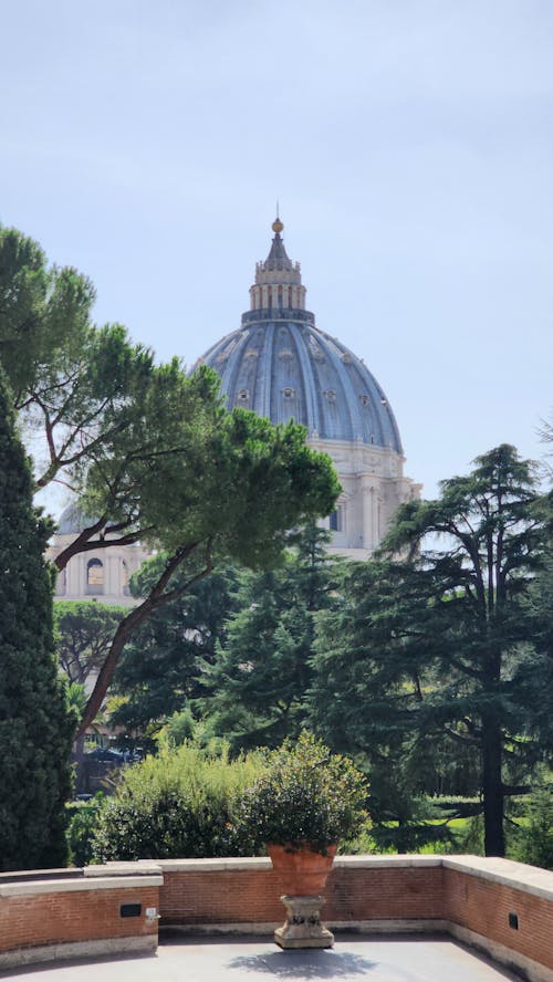 View of the St. Peters Basilica from a Terrace behind Trees