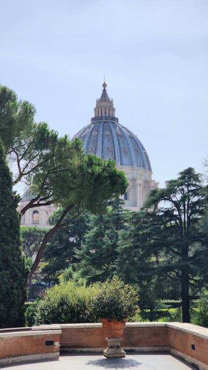 Безкоштовне стокове фото на тему «блакитне небо, Ватикан, вертикальні постріл»