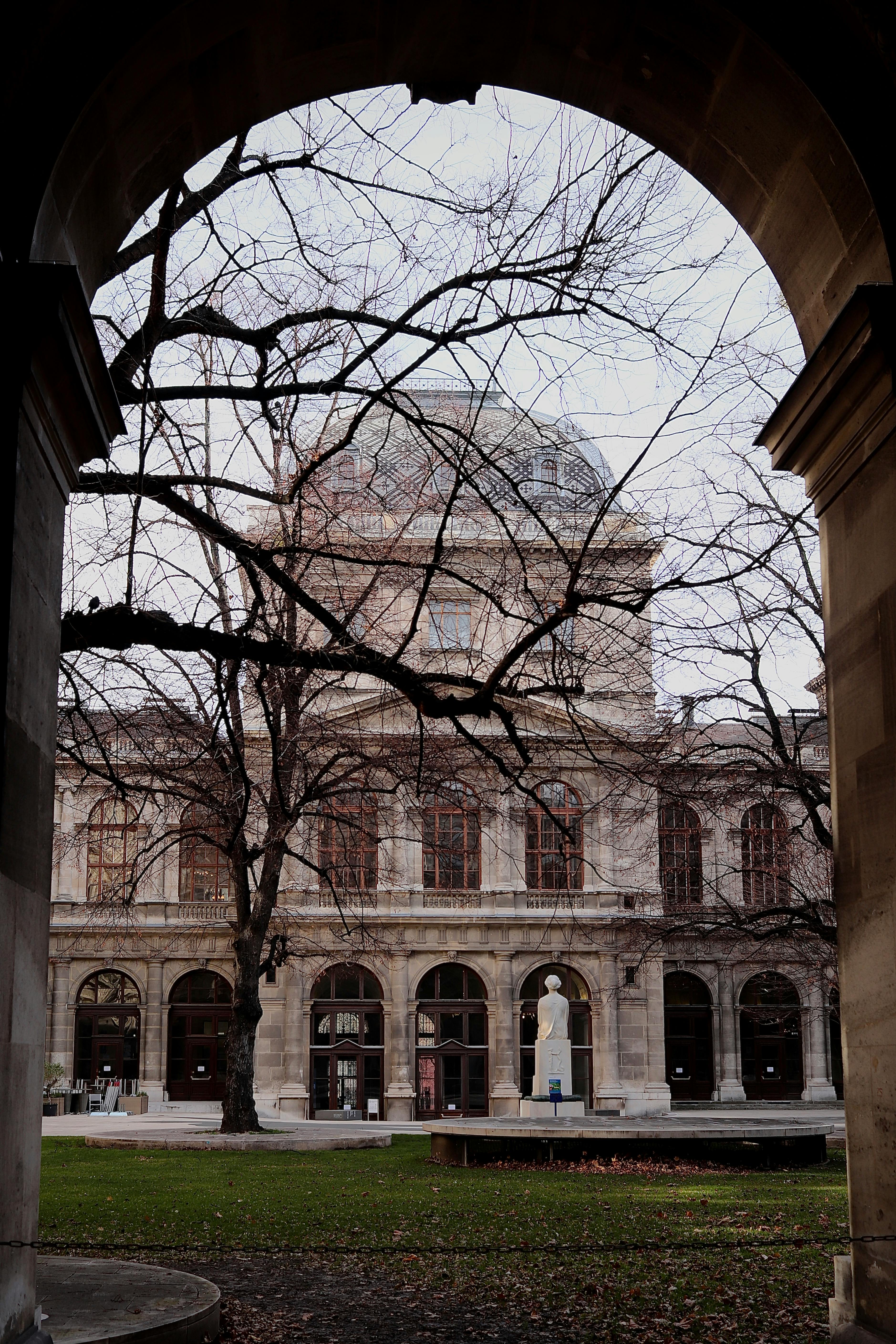 Vienna University building