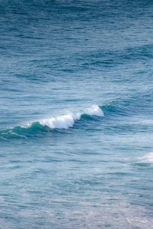 View of a Wave on the Sea 