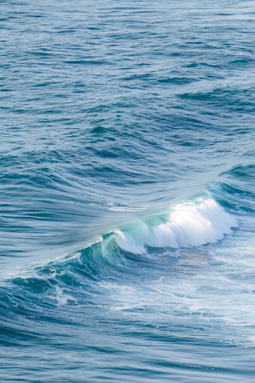 Gratis lagerfoto af blå, bølge, hav