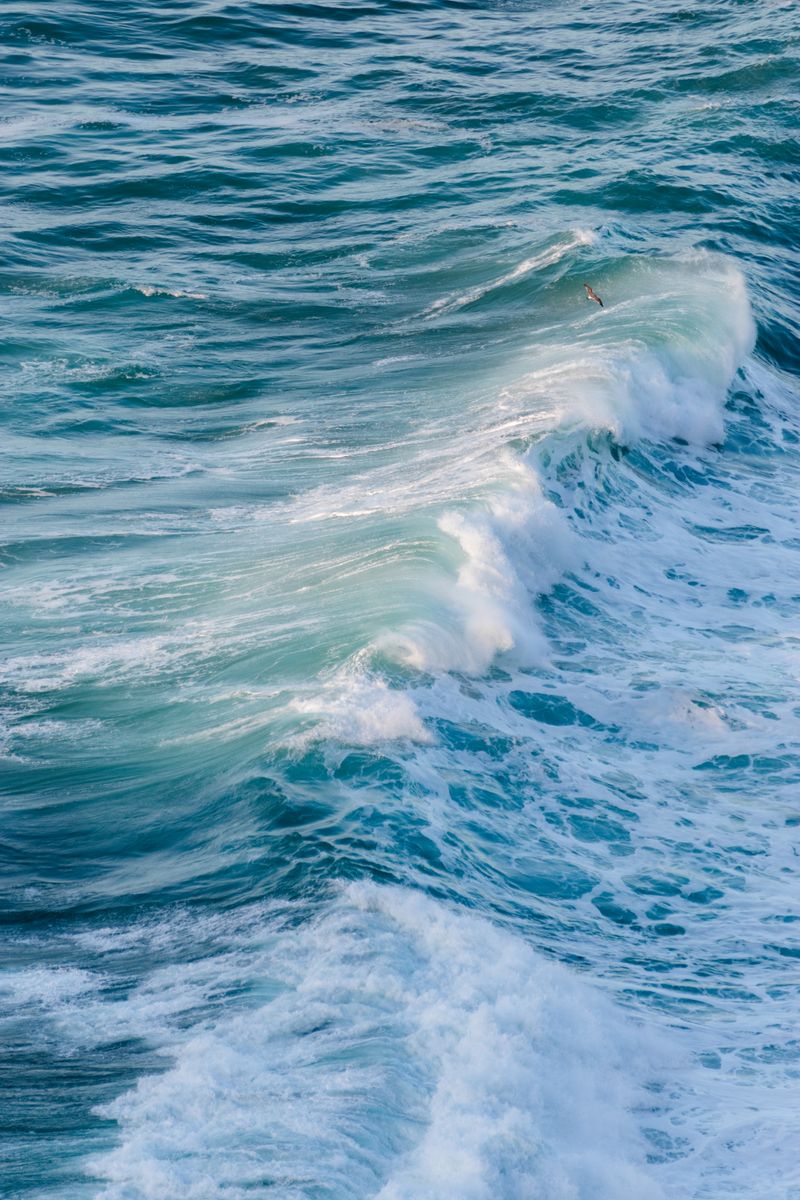 Vibrant ocean waves breaking on a shore, capturing the power of nature in a dramatic vertical shot.