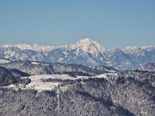 Základová fotografie zdarma na téma hory, krajina, les