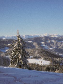 Snow-covered forest and hills in Vrhnika, Slovenia, under a clear winter sky.