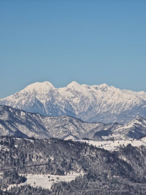 Forest and Mountains in Winter