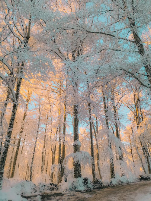 Základová fotografie zdarma na téma dítě modré pozadí, jasná modrá obloha, modrá obloha