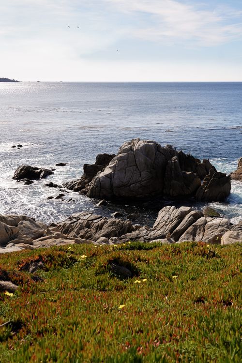 Free A beautiful coastal landscape capturing rocks and vibrant grass under a clear sky. Stock Photo