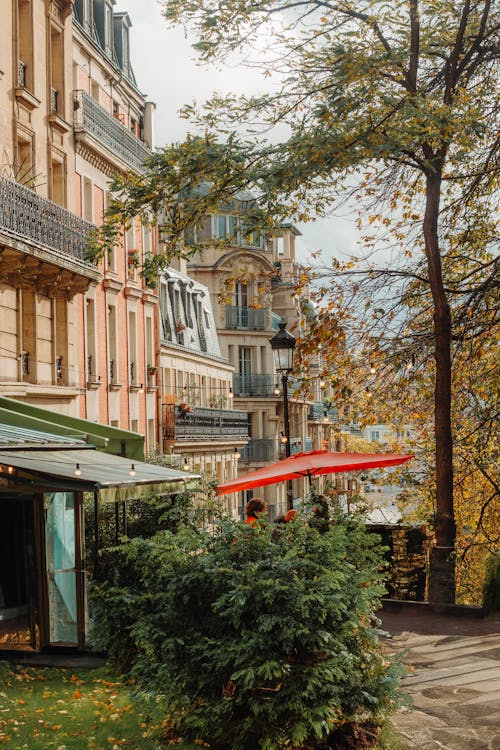 Kostenloses Stock Foto zu bäume, café, gebäude