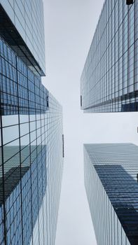 Dramatic low angle view of Toronto skyscrapers showcasing modern architecture.