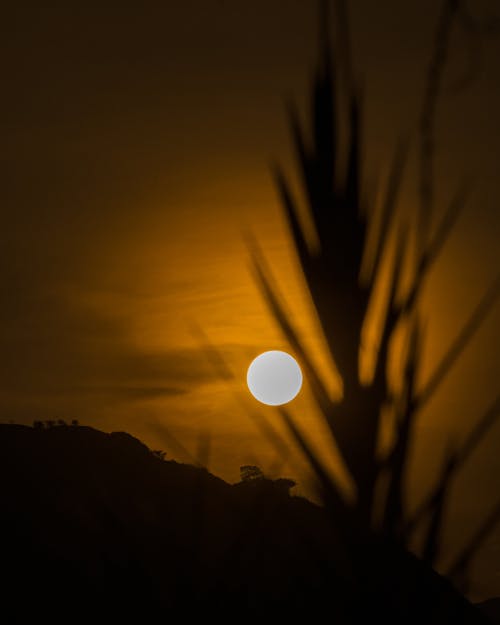 日落, 金色的夕陽 的 免费素材图片