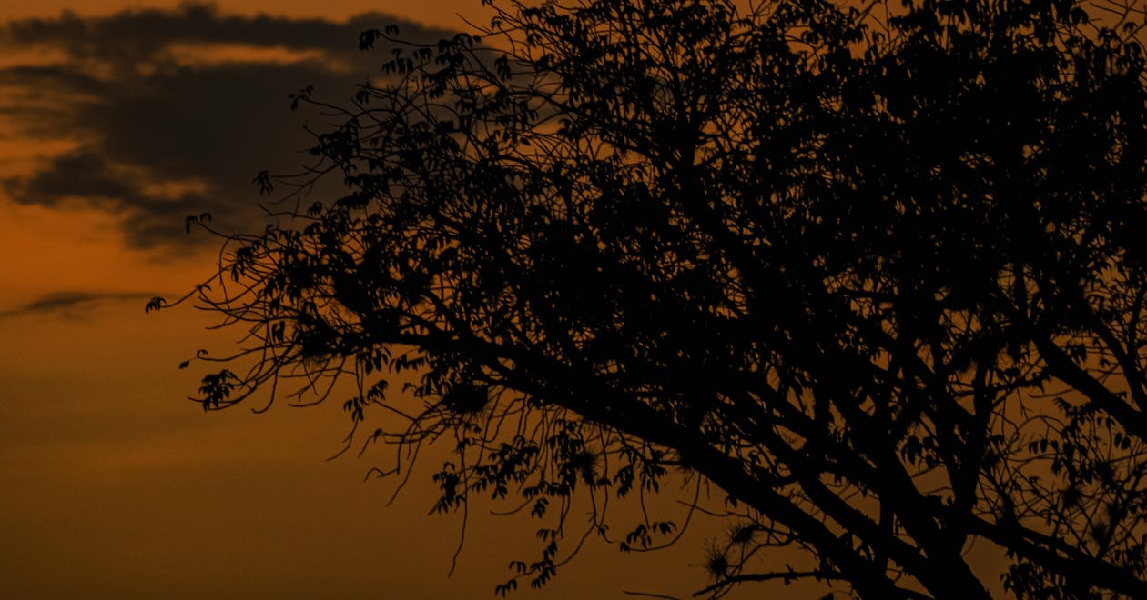 Gratis stockfoto met gouden zonsondergang, zonsondergang