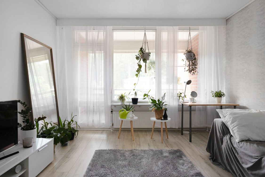 Bright rental apartment room with lush indoor plants, sheer curtains, and minimal decor for a luxury feel