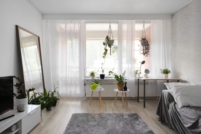Sunlit room with plants and sheer curtains, photo by Alex Tyson on Pexels