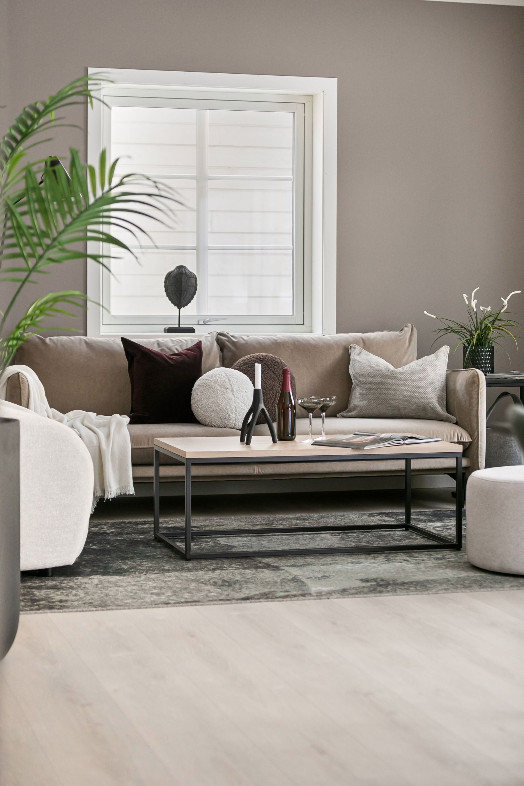 Neutral living room with taupe sofa, off-white chairs, warm grey wall, charcoal rug and dark sculptural accents