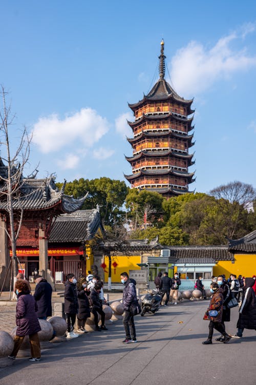 Tower and Trees