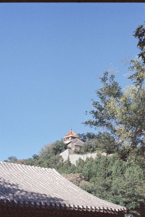 Free A scenic view of traditional pagoda roofs framed by trees under a clear blue sky. Stock Photo