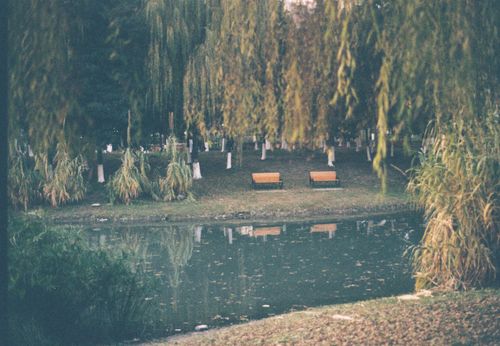 Free Tranquil park view with benches by a serene pond surrounded by trees. Stock Photo