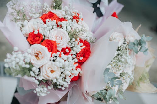Free A bouquet of red and white roses is being held Stock Photo