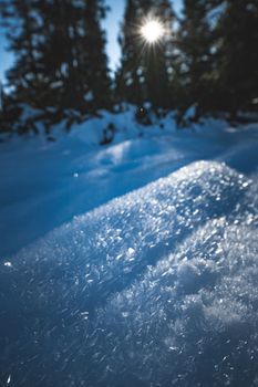 A close-up of sparkling snow in a sunlit winter forest under a clear blue sky.