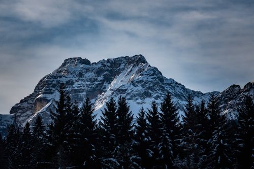 Free Dramatic snowy mountain peak with evergreen trees in winter landscape. Stock Photo