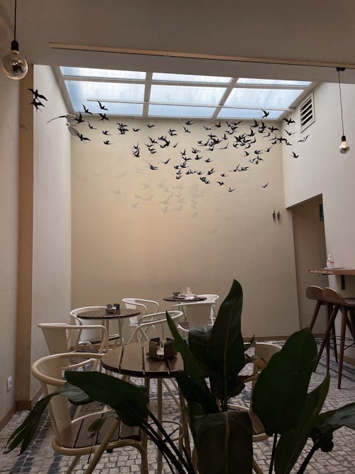 Darmowe zdjęcie z galerii z atmosfera, atmosfera kawiarni, dekoracja wnętrz