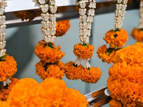 Free Close-up of vibrant marigold and jasmine garlands, ideal for festive decorations. Stock Photo