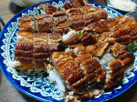 Eel Fish