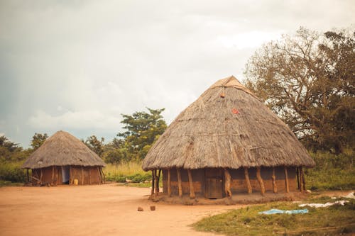 Tribal Huts in Village