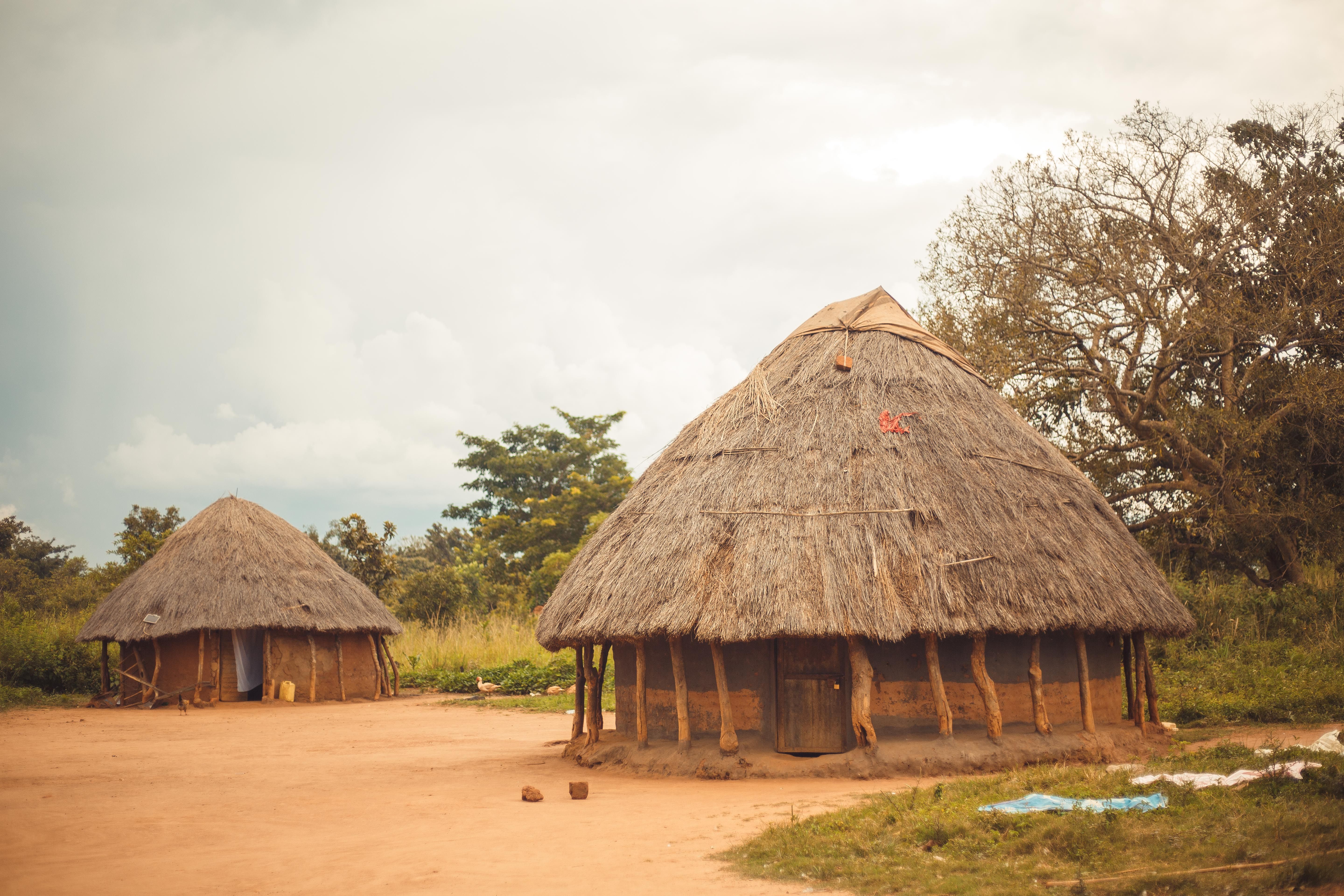 Ingyenes stockfotó Afrika, afrikai falu, afrikai kultúra témában Stockfotó